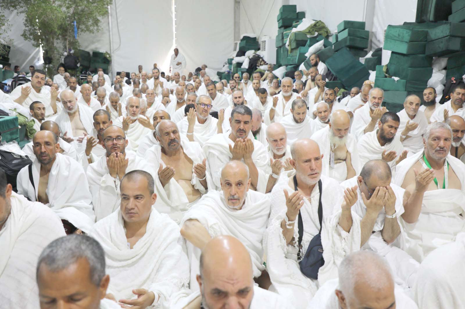 Organiser le départ des hadjis algériens de la Mecque après l’accomplissement des rites : Un dispositif mis en place