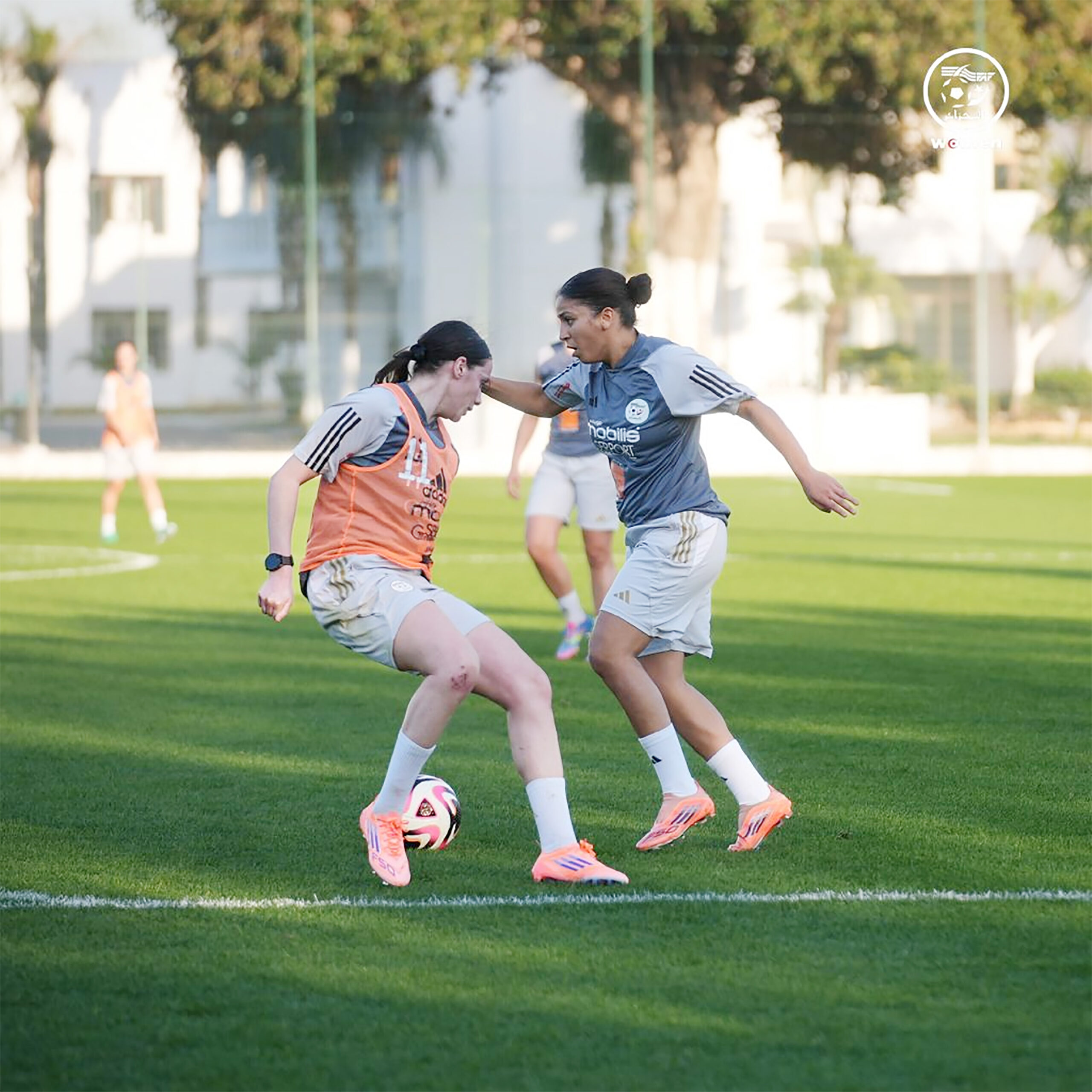 CAN Féminine 2026 /Les Vertes poursuivent leur préparation : Egypte – Algérie aujourd’hui, au Caire, en amical