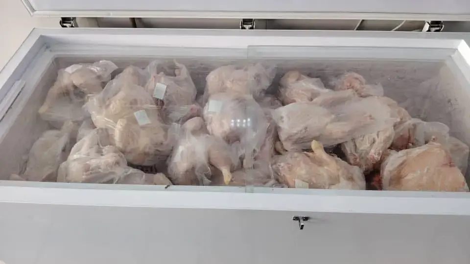 Mise sur le marché progressive du poulet congelé : 330 DA le kg pendant le ramadan