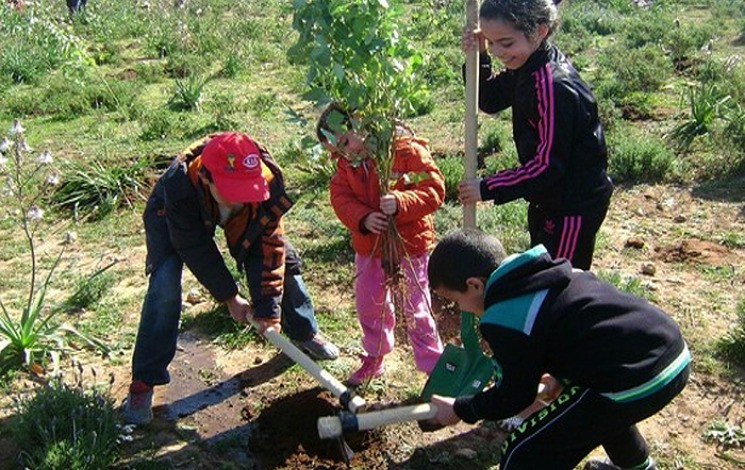 L&rsquo;Algérie place la barre très haut pour le Défi Vert 5 millions d&rsquo;arbres : Le nouveau défi
