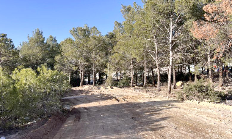 Les Forêts de Hammam Essalihine et d’Aïn Mimoun : Destination privilégiée des familles durant l&rsquo;Aïd el-Fitr