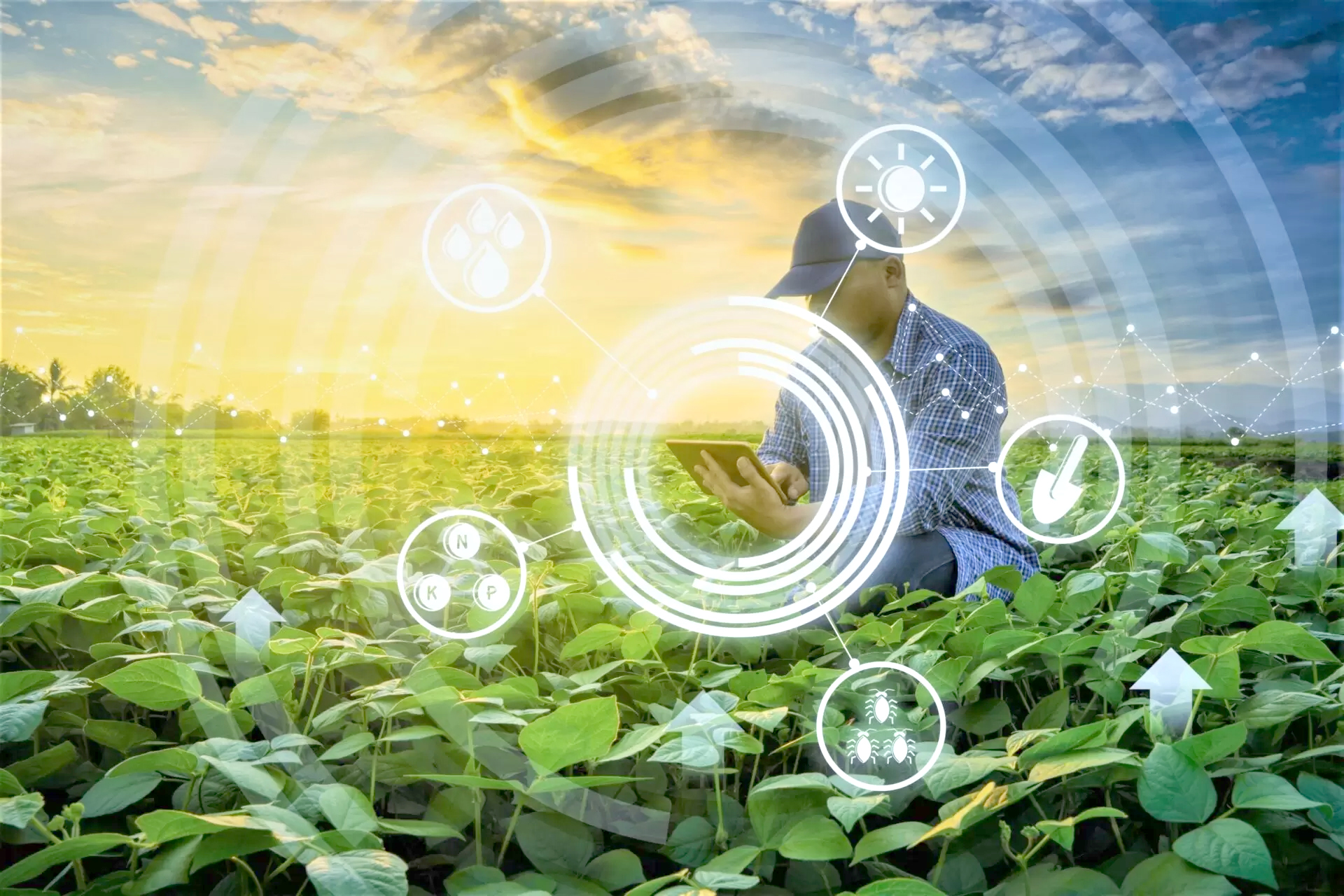 Colloque national des ingénieurs agronomes : Les experts plaident pour une agriculture intelligente et durable