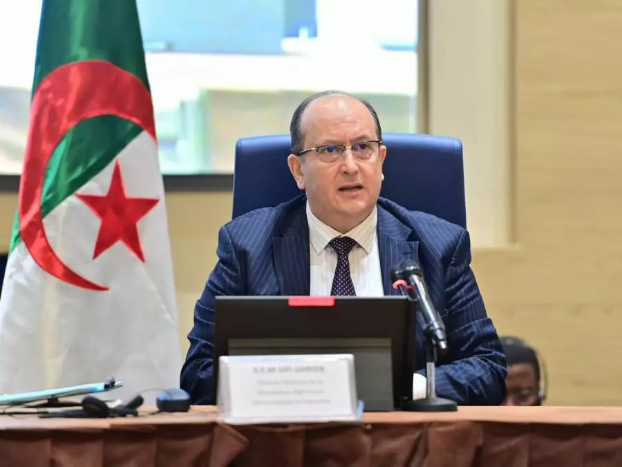 Sifi Ghrieb: le potentiel de l’Algérie et du Niger ouvriront la voie à des partenariats fructueux