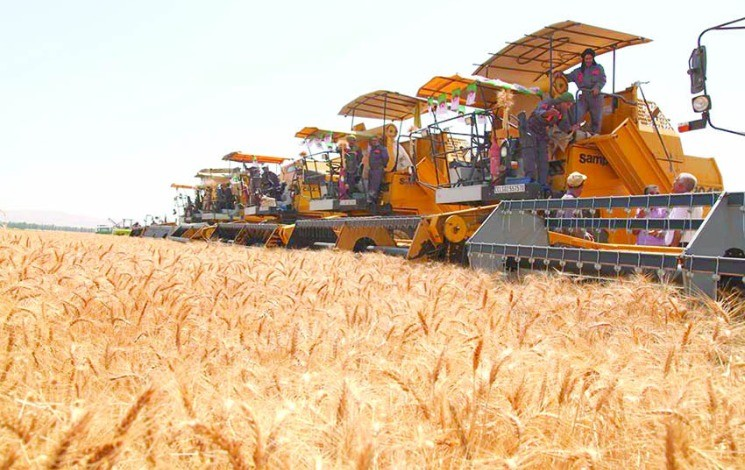 Campagne moisson-battage 2025-2026 : Une mobilisation nationale pour sécuriser la production céréalière