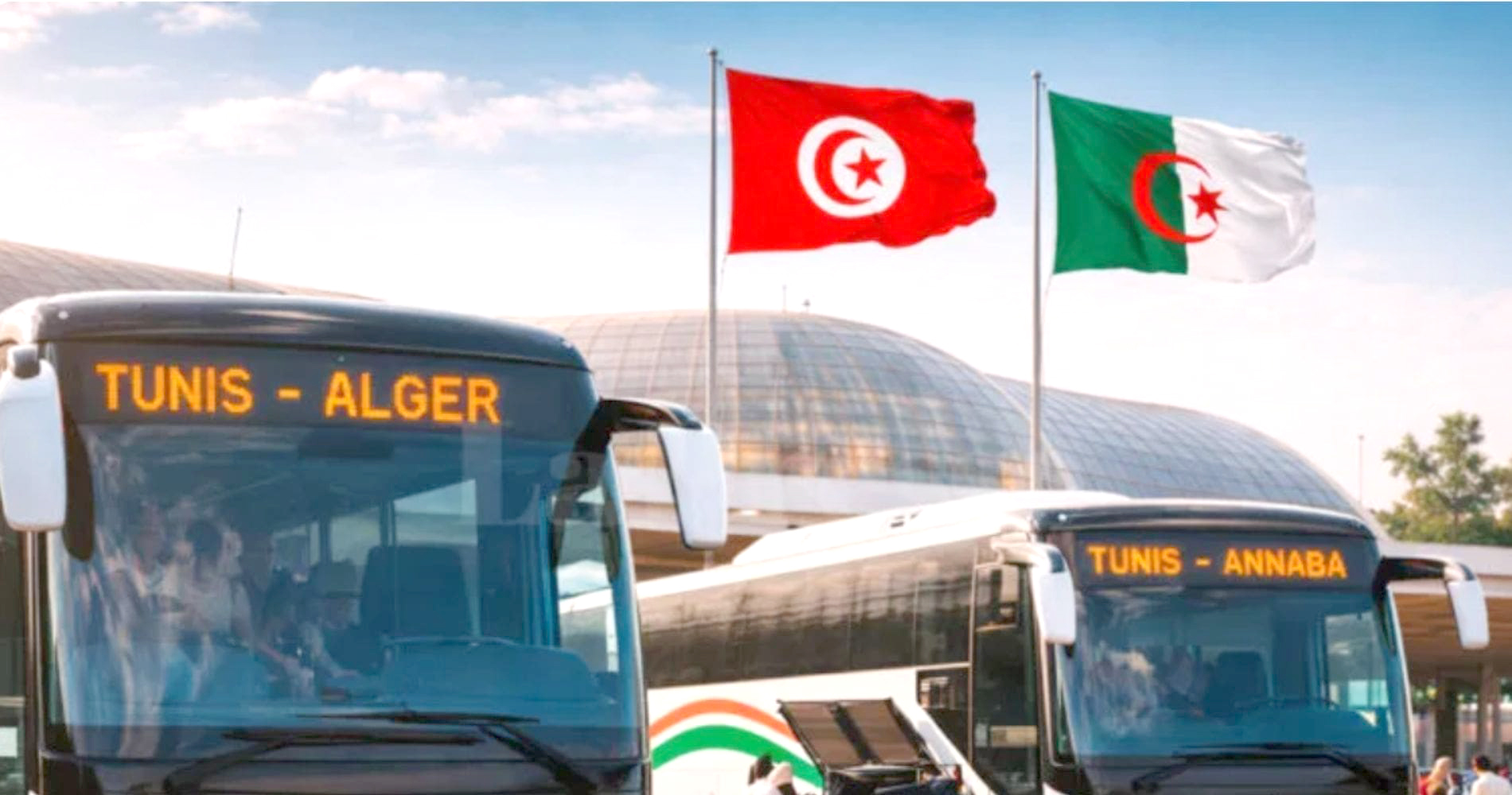 Transport par bus Algérie- Tunisie : Deux lignes viennent d’être lancées