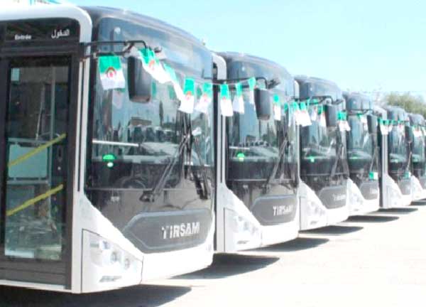 Oran : un quatrième quota de 50 nouveaux bus