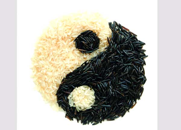 Macrobiotique : L&rsquo;Art de l&rsquo;Équilibre Énergétique