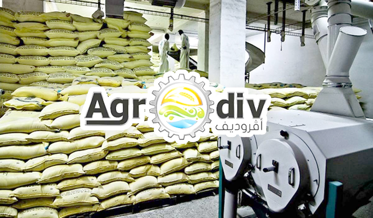 Relance des actifs récupérés et ambition à l’export : Agrodiv accélère sa stratégie 2026