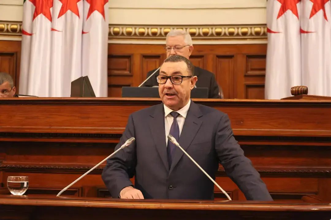 Conseil de la nation : Sayoud présente le texte de loi déterminant les circonscriptions électorales