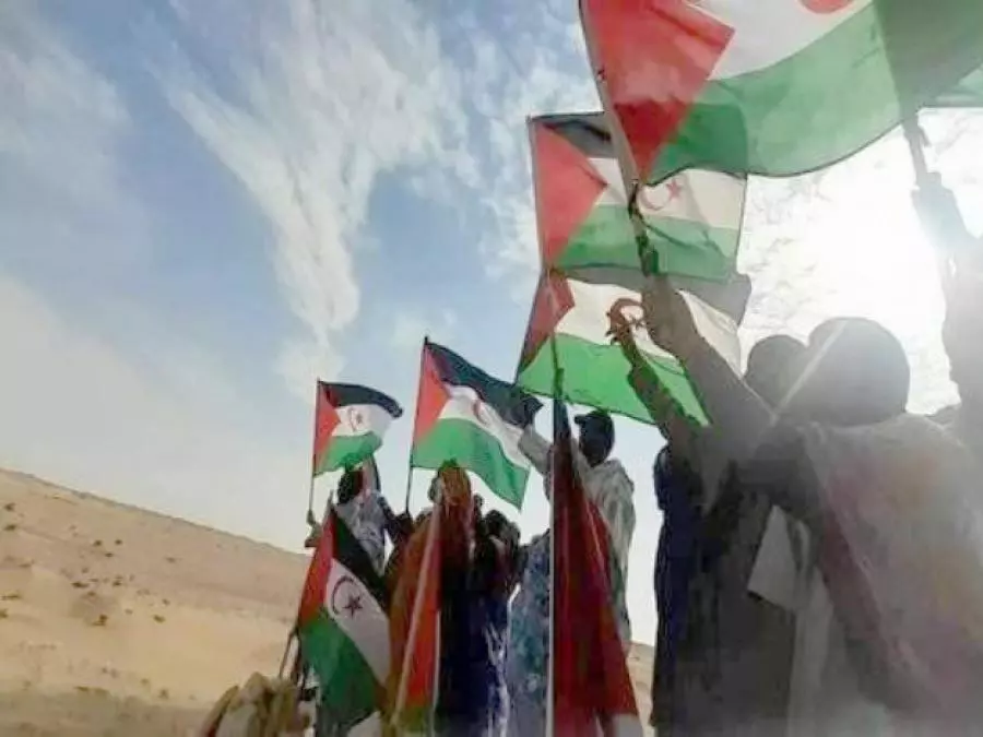 Des organisations féminines étrangères renouvellent leur solidarité avec la femme sahraouie