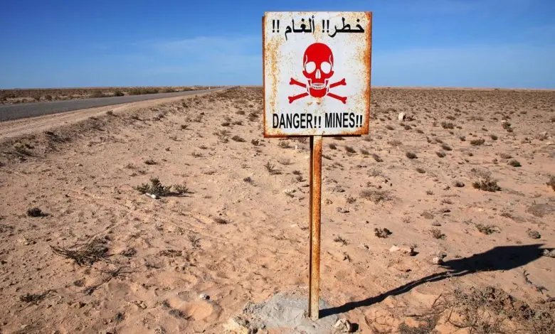 Journée internationale pour la sensibilisation au problème des mines : Investir dans la paix pour protéger les vies