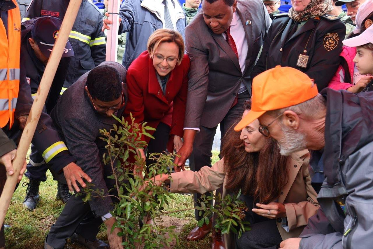 Renouvellement du couvert vert : Un modèle algérien pour l’adaptation au changement climatique