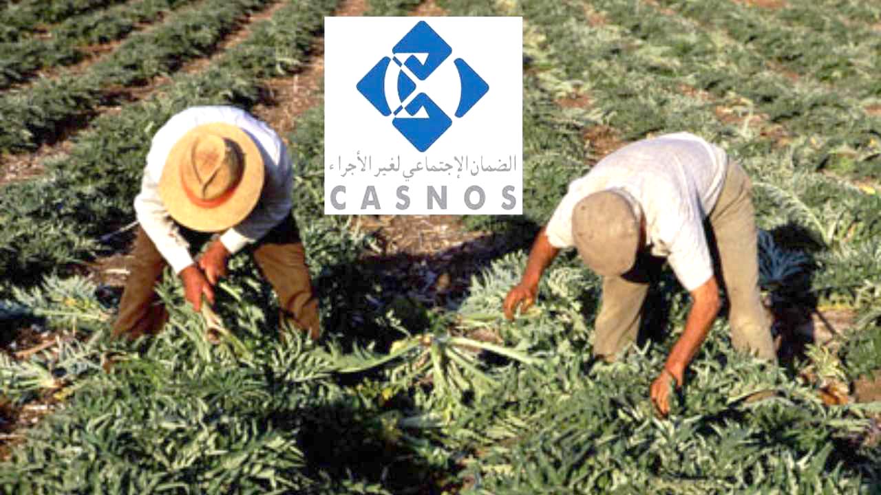 Pour simplifier l&rsquo;accès à la couverture sociale : La CASNOS lance deux services numériques au profit des agriculteurs