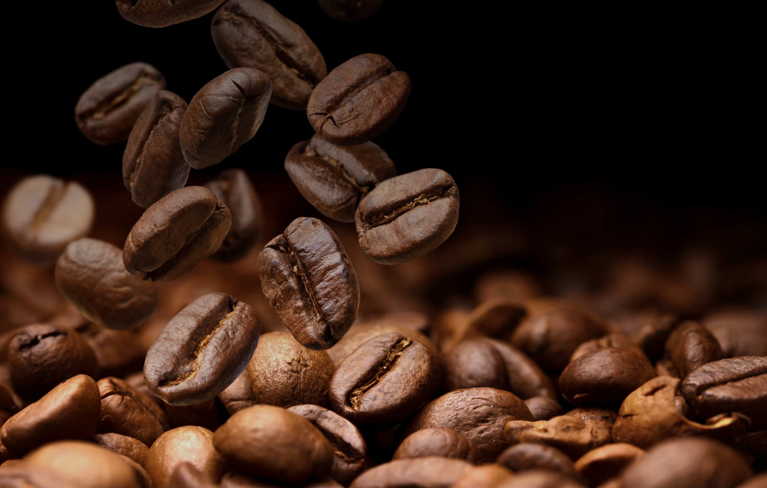 Le secret pour un café toujours frais ?