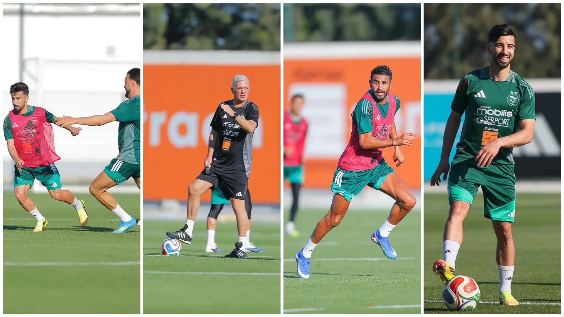 FAST-TRACK CAF C ET B : Les Belkalem, Djabou, Benlamri, Aksas… poursuivent leur formation