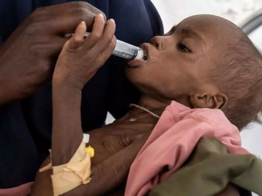 Guerre au Soudan : près de 20 millions de personnes confrontées à une faim aiguë