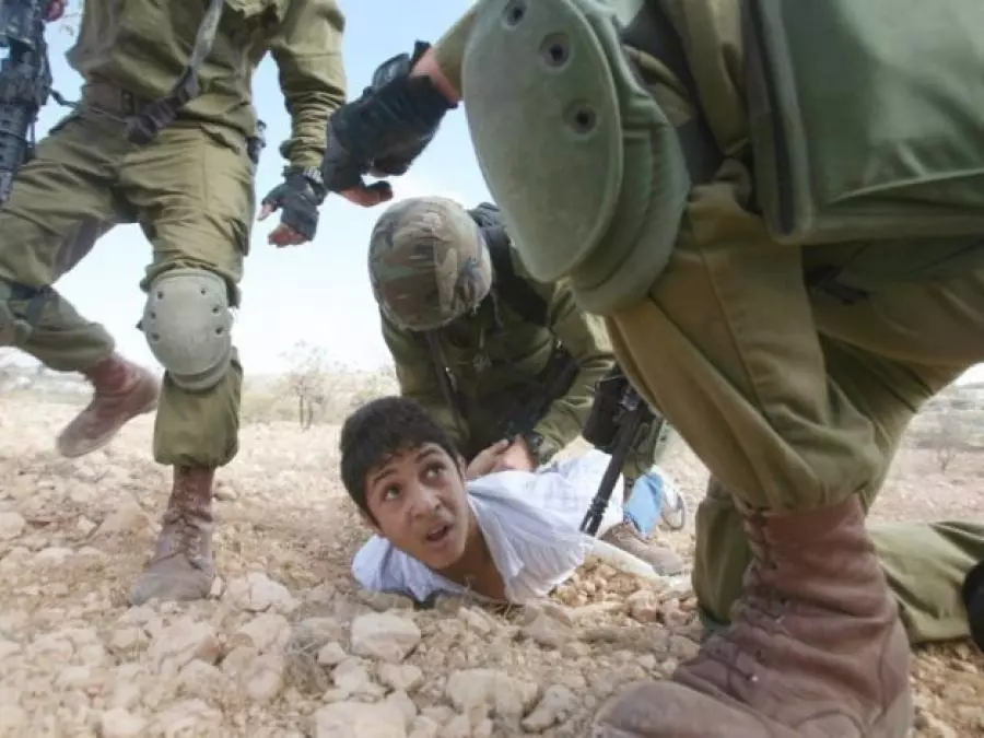 Palestine occupée : des colons attaquent des habitations à El Khalil, un enfant arrêté