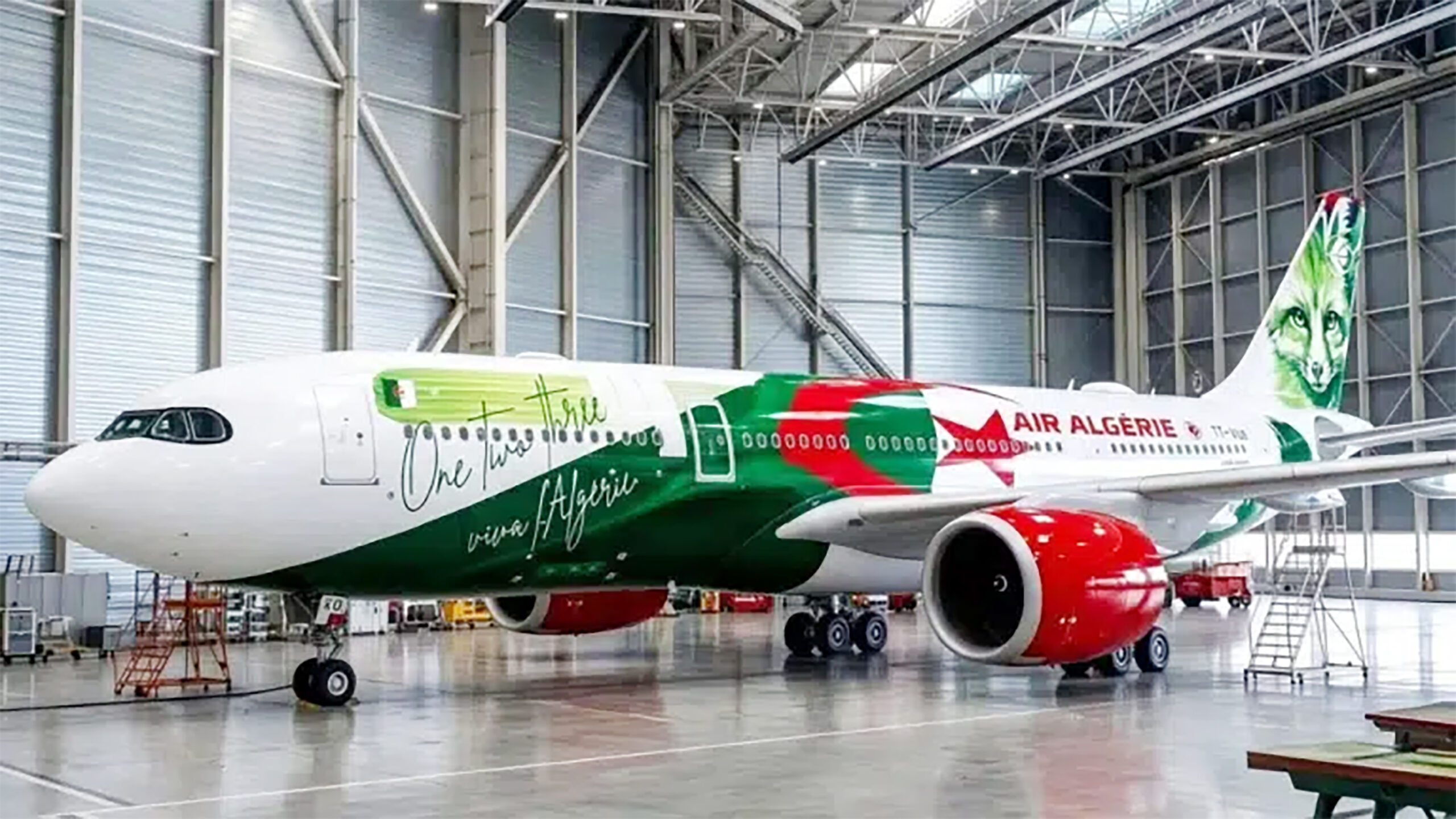 «The Fennec» : Le magnifique design de l’avion des Verts pour le Mondial