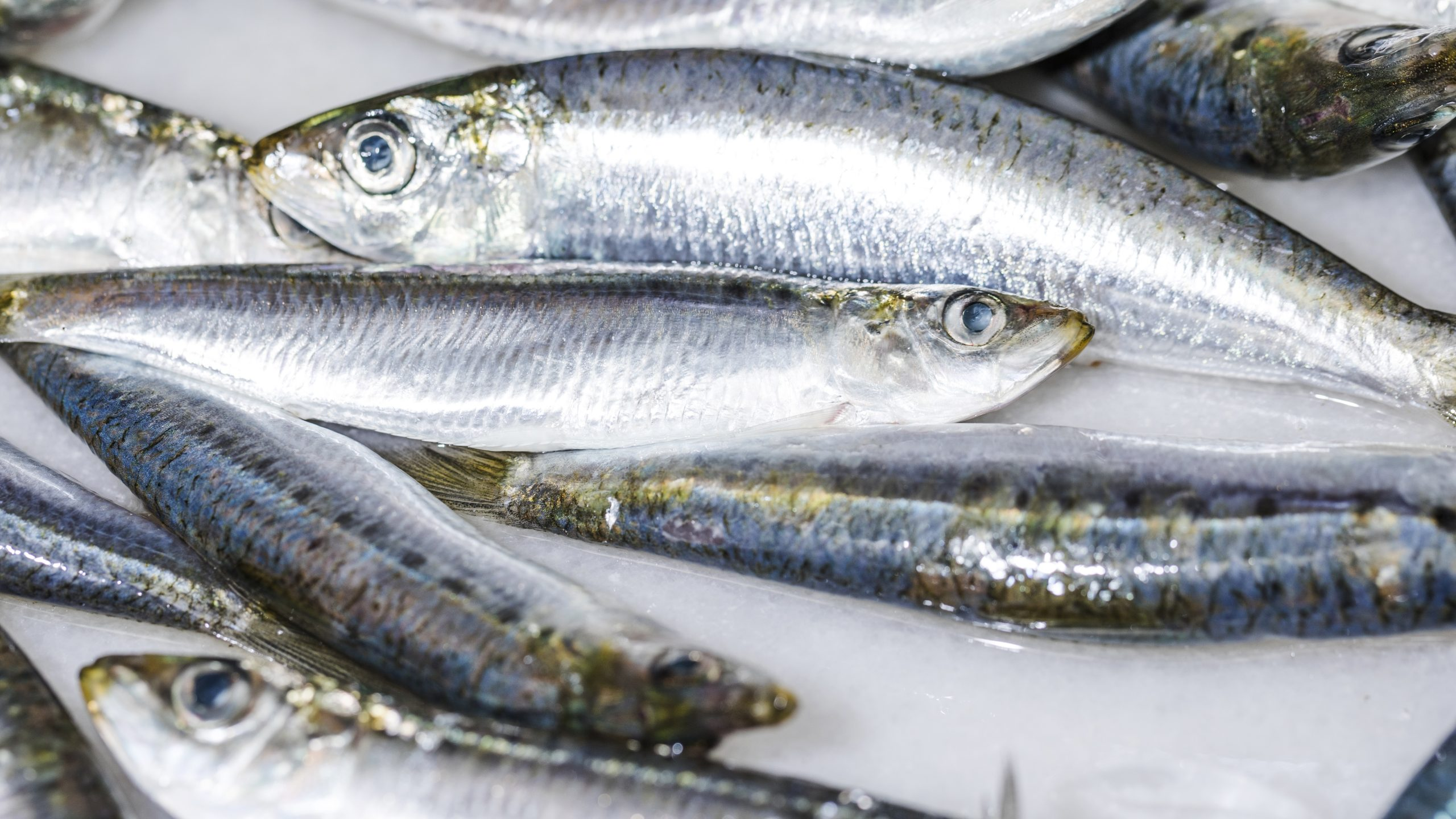 Faut-il vider la sardine avant de la manger ?
