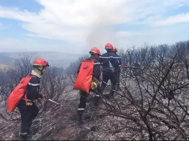 Feux de forêt: 97% des incendies maitrisés