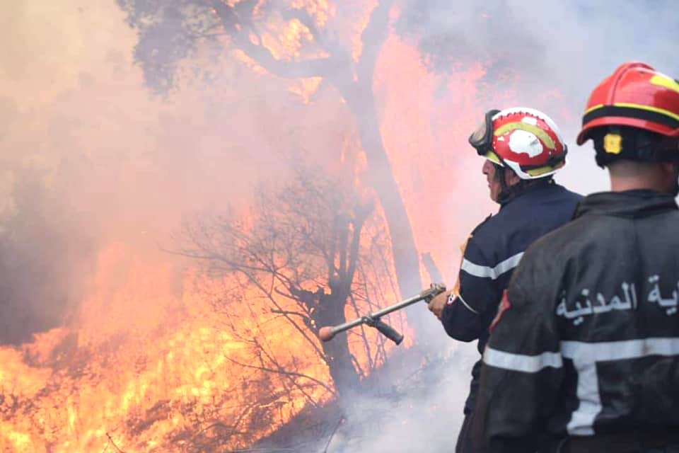 La Protection civile dévoile les chiffres des incendies : Le nombre de feux a doublé en un an