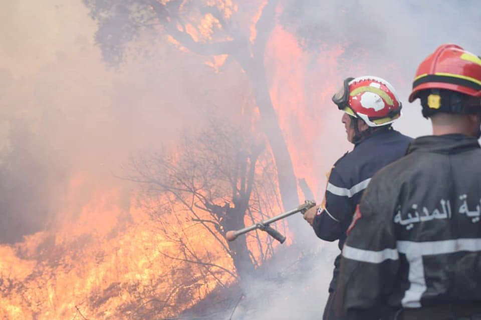 Face aux multiples incendies dans plusieurs villes du pays : L&rsquo;Algérie renforce son dispositif