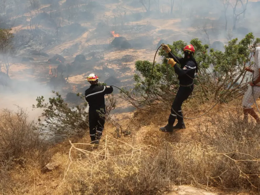 Protection civile : extinction de 56 incendies sur un total 75 en 24h