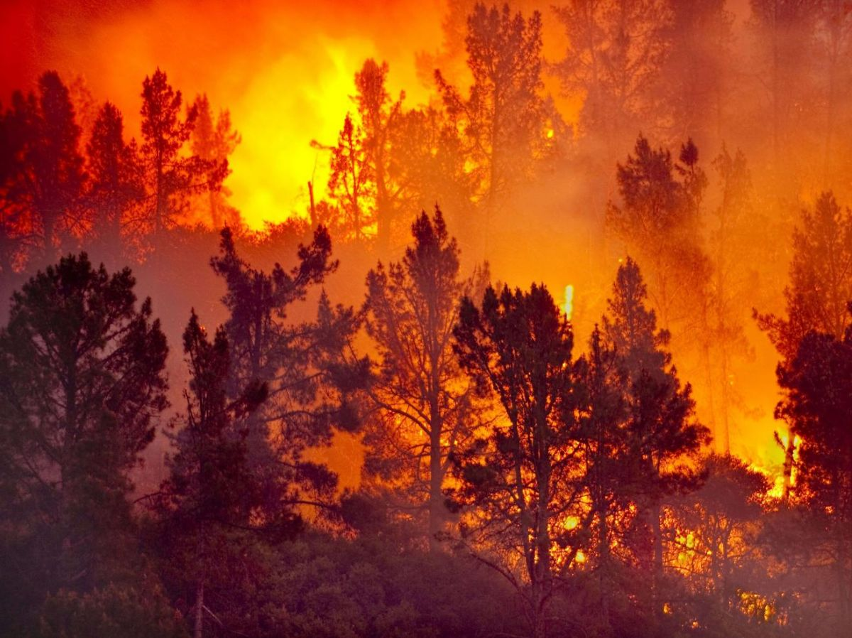 Sous la canicule, la trahison…