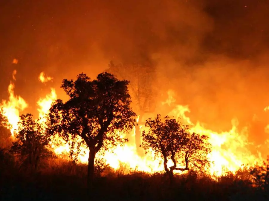 Incendies dans le sud de la France : l&rsquo;UE annonce l&rsquo;envoi de quatre avions bombardiers d&rsquo;eau