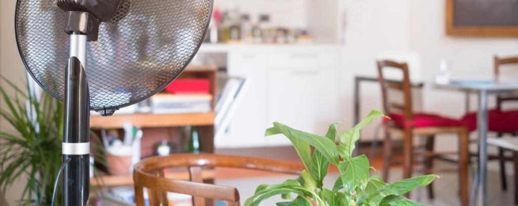5 astuces pour rafraichir sa maison l’été