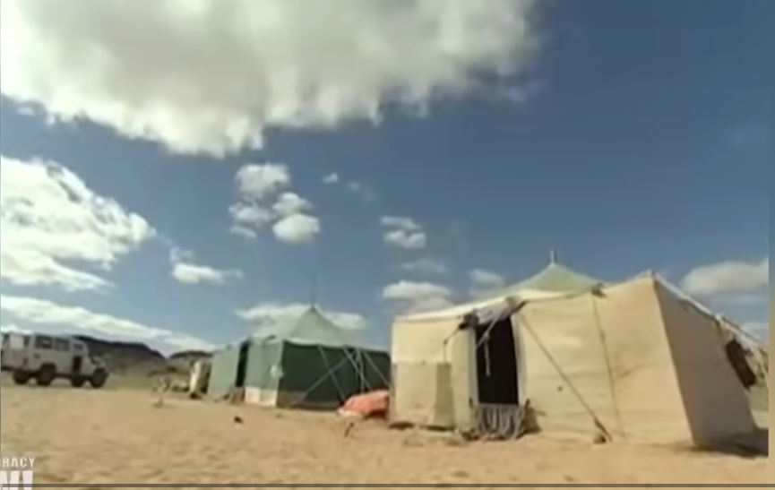 Après un tournage au Sahara occidental occupé : Le film The Odyssey de Christopher Nolan visé par des appels au boycott
