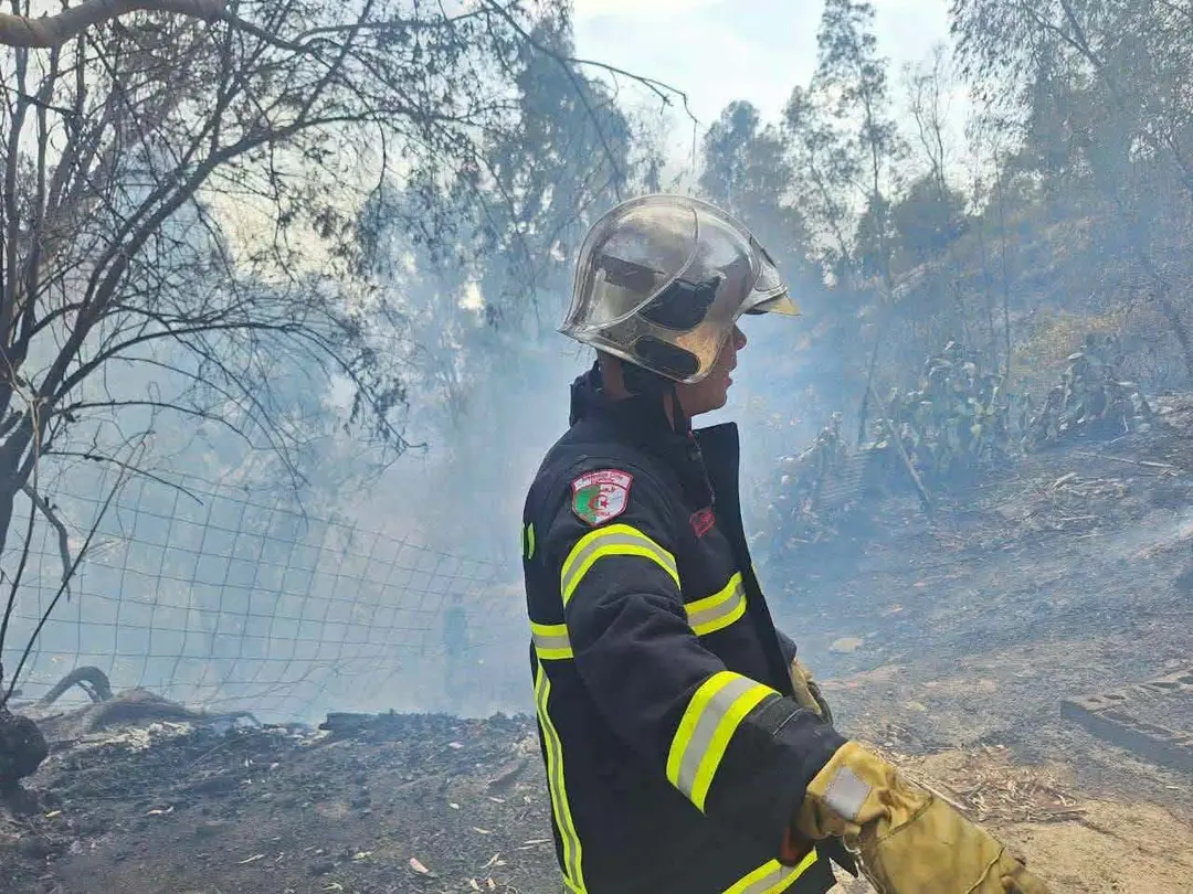 Extinction de 88 incendies sur 110 au cours des dernières 24 heures
