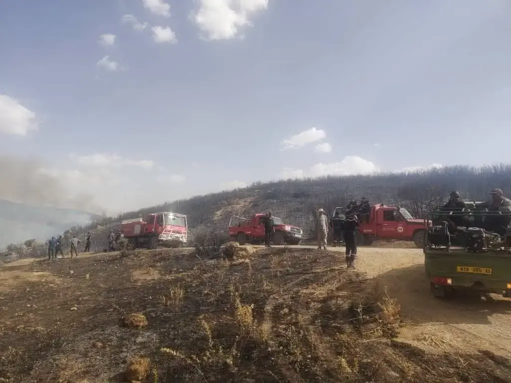 Protection civile : Maîtrise totale des feux de forêt à travers plusieurs wilayas du pays