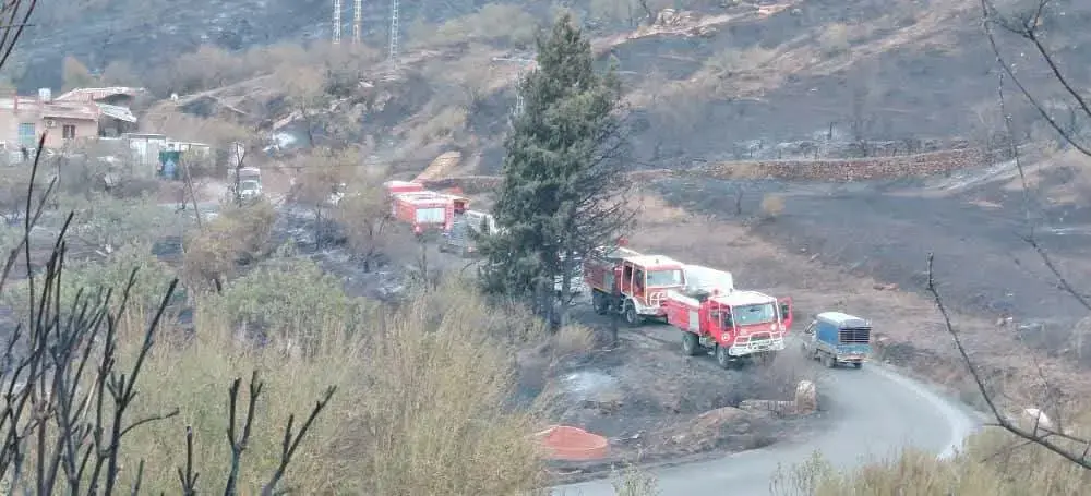 Feux de forêt : Renforcement des unités d’intervention à Jijel par l’envoi de détachements supplémentaires