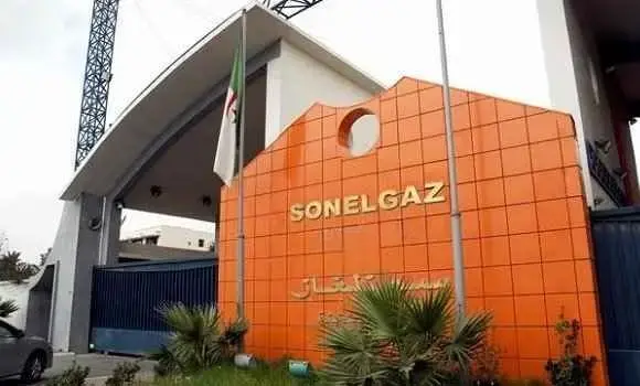 Annaba : Lancement de l&rsquo;opération de réhabilitation des réseaux électriques endommagés par les incendies de forêt sur près de 12 km