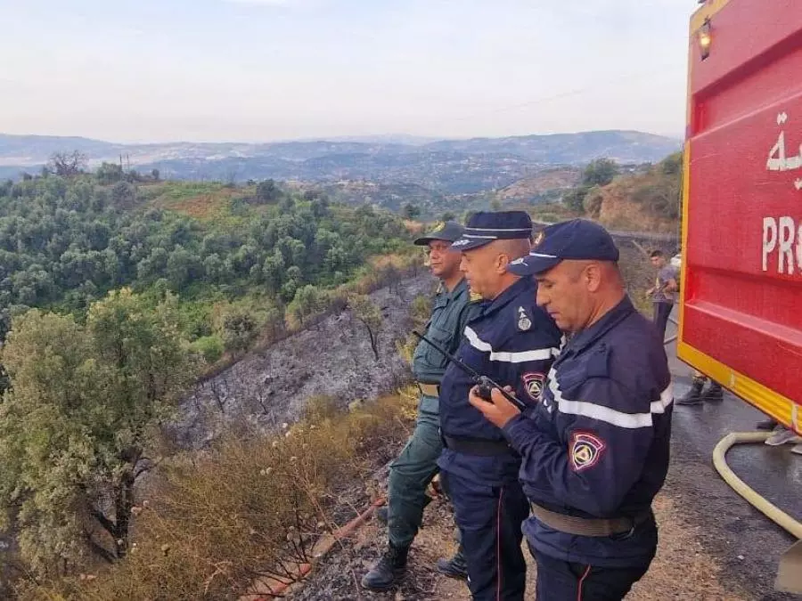Début de l&rsquo;indemnisation des victimes des derniers incendies à Tizi Ouzou