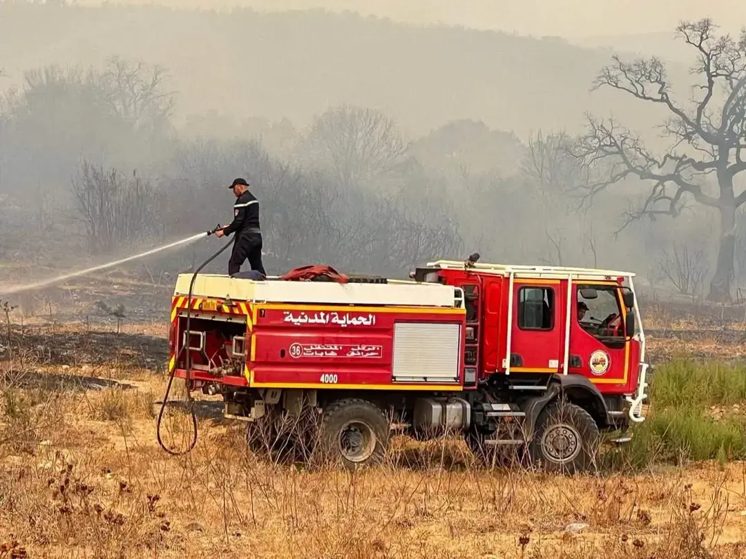 Protection civile : Extinction de 118 incendies sur 123 au cours des dernières 24 heures