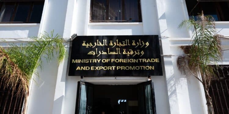 Programmes prévisionnels d&rsquo;importation : des « cas inhabituels et suspects » détectés via la plateforme numérique