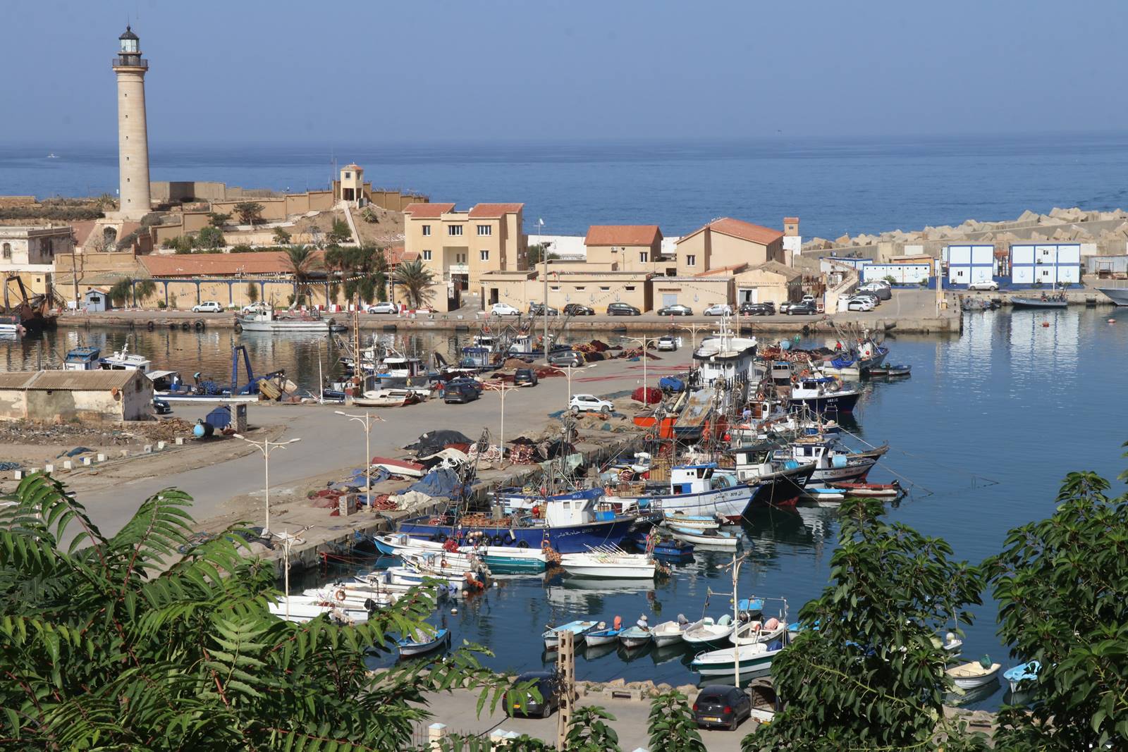 Evasion, à la découverte des Trésors de l’Algérie : Cherchell Jul-Césarée