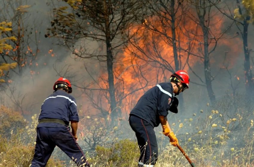 Incendies de forêt : Quatre suspects derrière les barreaux