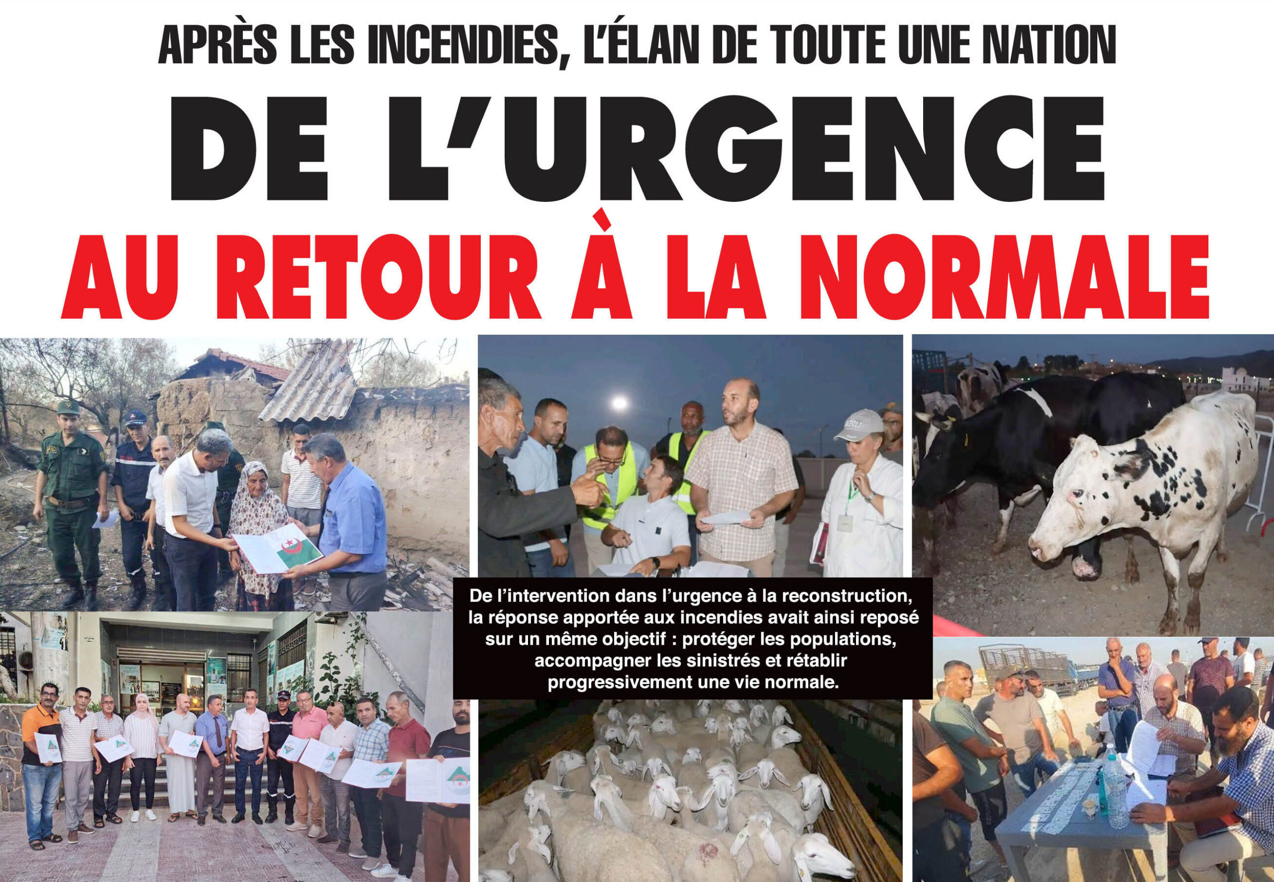 Après les incendies, l’élan de toute une nation : de l’urgence au retour à la normale