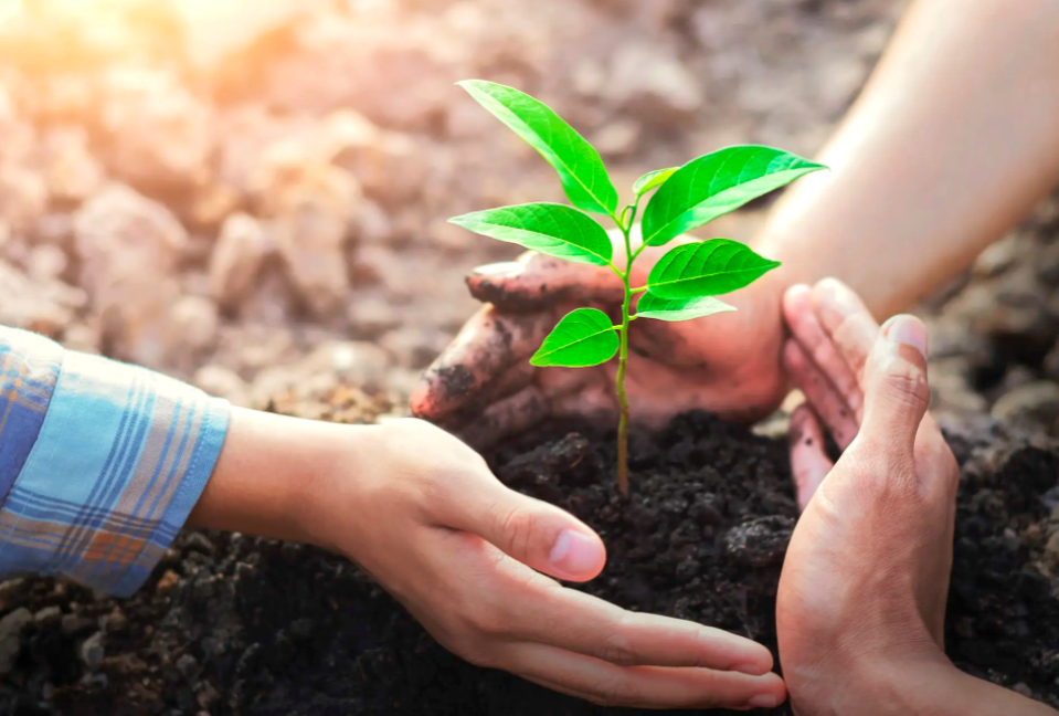 Plan d’action en biodiversité 2025-2030 : La préservation des écosystèmes, un engagement
