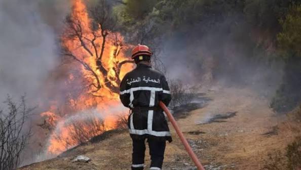 Incendies d’août : L’indemnisation des familles sinistrées de Béjaïa achevée