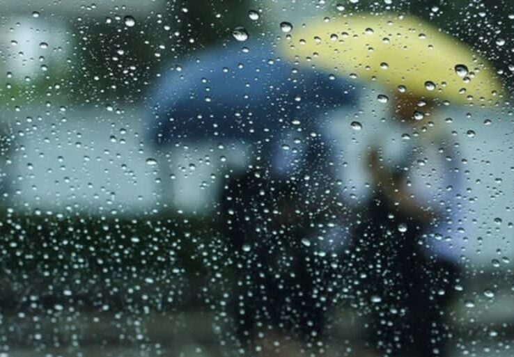 BMS : Pluies sur plusieurs wilayas du pays samedi et dimanche