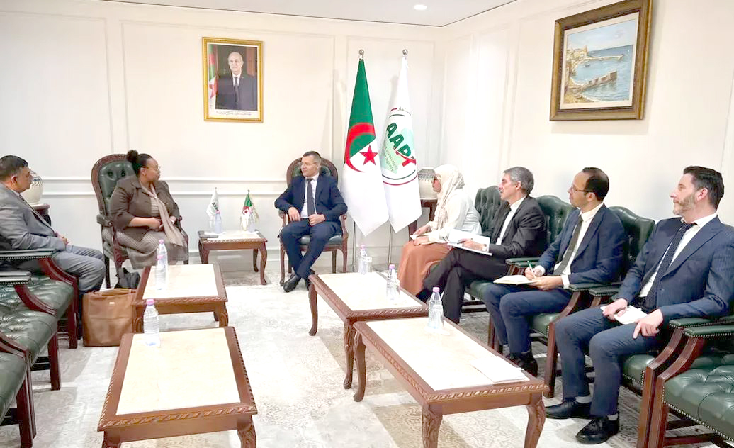 L&rsquo;Algérie et l&rsquo;Afrique du Sud examinent les opportunités de réalisation de projets d&rsquo;investissement conjoints